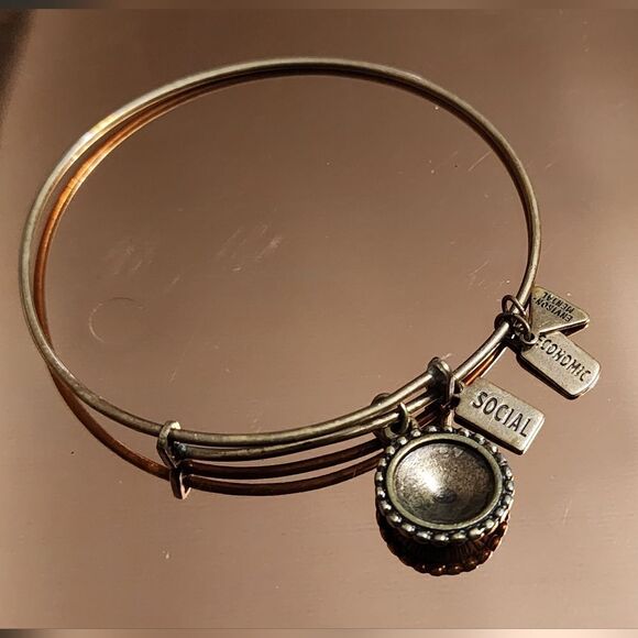 🐢 Alex and Ani Path of Symbols Expandable Bangle 2"-3.5" - Picture 3 of 7
